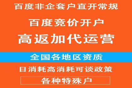 某品牌sem竞价托管代运营的精彩瞬间